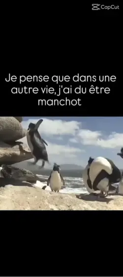 🐧🐧🐧
