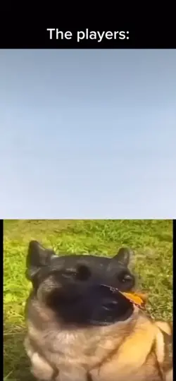 Chill guy trend meme