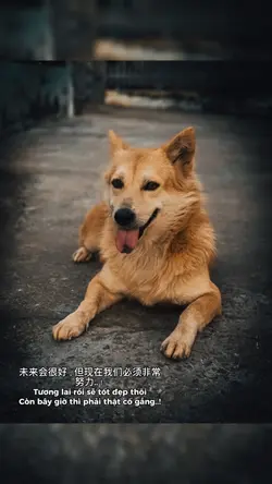Tương lai rồi sẽ tốt