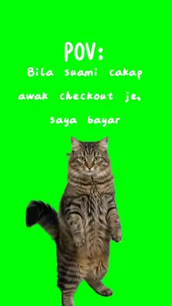 funny cat dancing