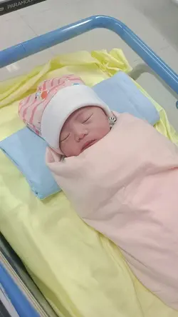 proses baby trend