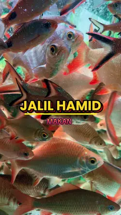 Jalil hamid