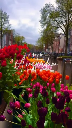 a day in amsterdam