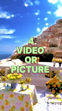 4 video or picture 