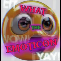 WHAT THE EMOTICON 