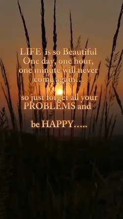 Life is Beautiful 