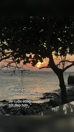 CAPTION 