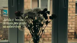 A VIDA É BONITA 