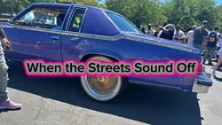 Car Show Vibes 