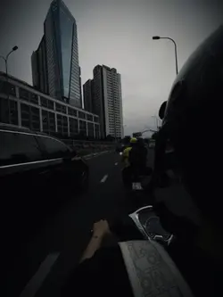 Họ nói anh xem 