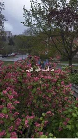 يدبر الأمر 