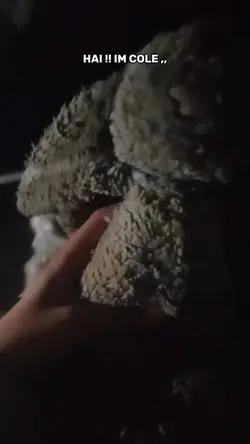yayyy