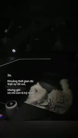Caption + Màu