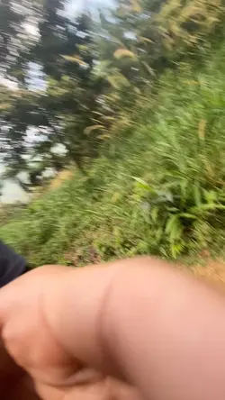 mau dikejar?
