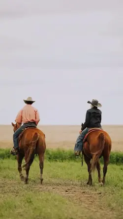Cowboy Vibes