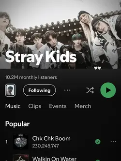 straykids saved me!💞