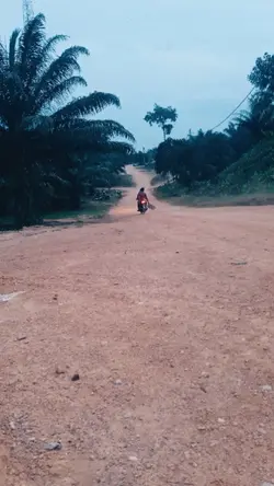 hidup laki-laki 