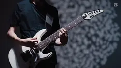 Gitaris