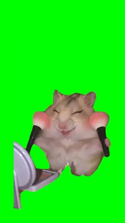 hamster do makeup