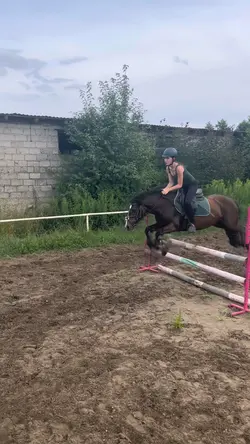 slowmo
