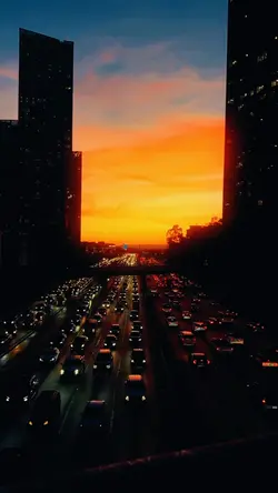 cinematic city