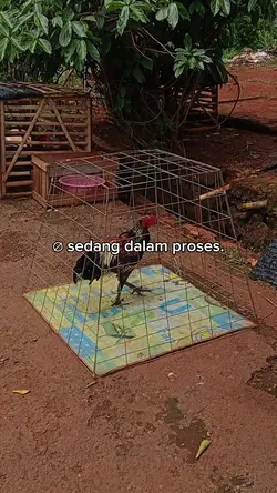 sedang dalam proses