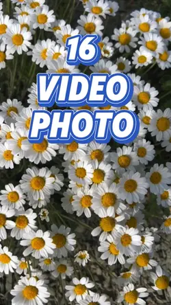 16 video or photo 