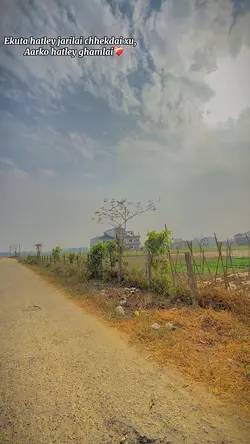 Malai ta teha sanga