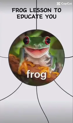 FROG LESSON