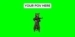 CAT MEME