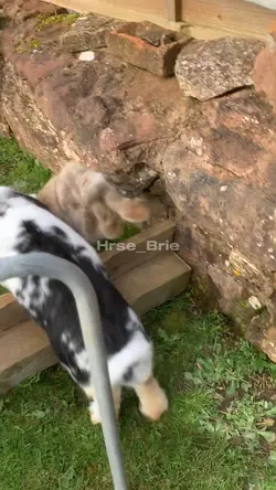 More bunny jumping 💗