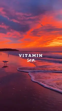 vitamin sea 