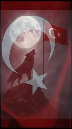 Türk Bayrağım🇹🇷