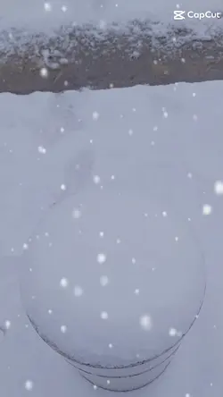 눈