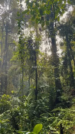 nature
