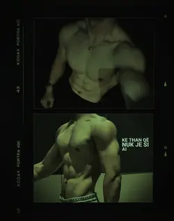 Si ai