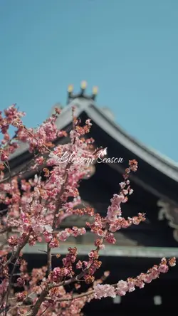 The Season Of Bloom