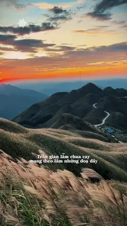 Trần gian lắm chua