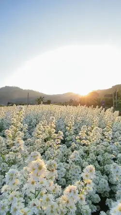 Cinematic travel