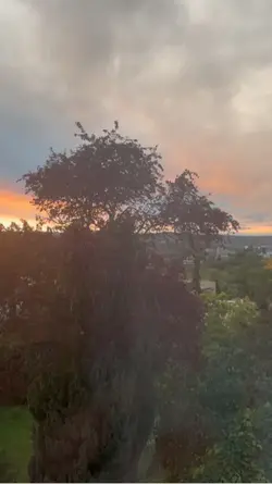 WM 😍