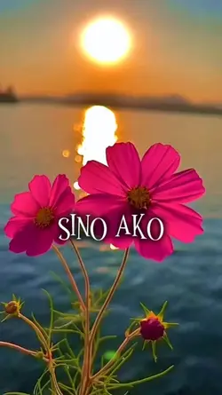 Sino Ako