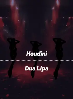 Houdini♬.*゚