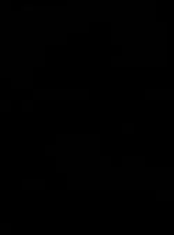 Add 1 clip