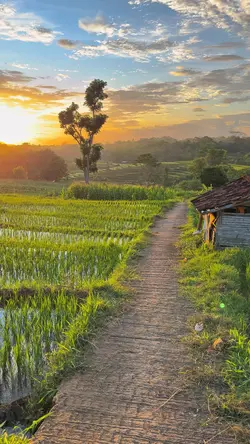 KAWINTANG SINAWANG
