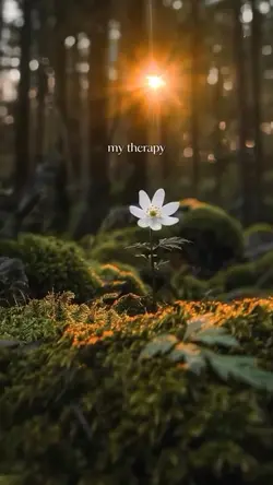 nature healing 