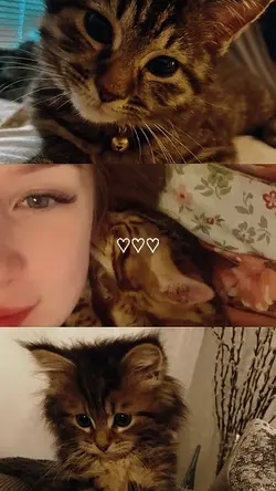 cute