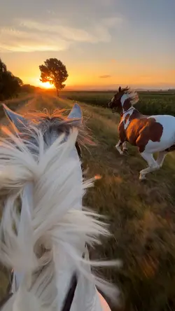 Chasing the sunset 💕