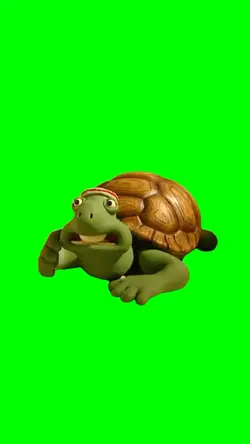 Turtle think grsc