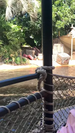 ディズニー