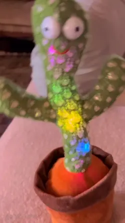 Dancing cactus🫢?